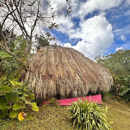 Sierra Alta Finca Boutique Villa มินกา ภายนอก รูปภาพ