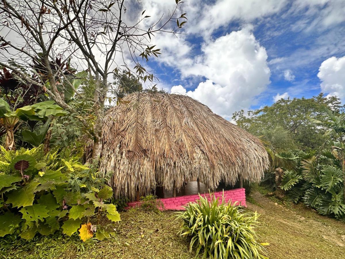 Sierra Alta Finca Boutique Villa มินกา ภายนอก รูปภาพ